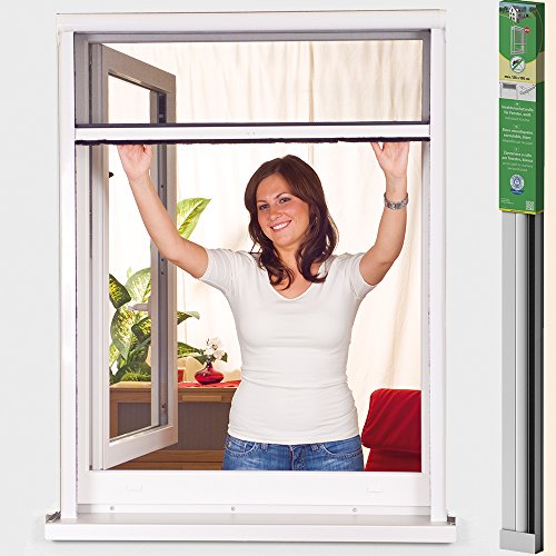 easy life PVC Insektenschutz-Rollo greenLINE Basic für Fenster Fliegengitter Insektenrollo individuell kürzbares Fensterrollo als Mückenschutz, Größe:125 x 150 cm