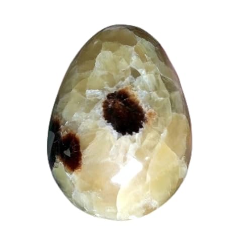 EACTEL Heilkristall Natürlicher Drache Septarian Kristall Polierter Edelstein Eiförmig ZANLIIYIN