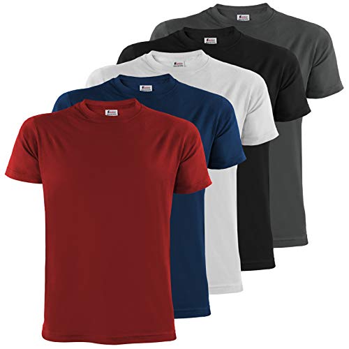 ALPIDEX Herren T-Shirts mit Rundhalsausschnitt einfarbig im 5er Set Größe S M L XL XXL 3XL 4XL - Fire, Größe 3XL