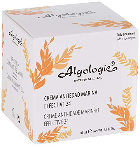 ALGOLOGIE Concealer 1er Pack(1 x 50 milliliters)