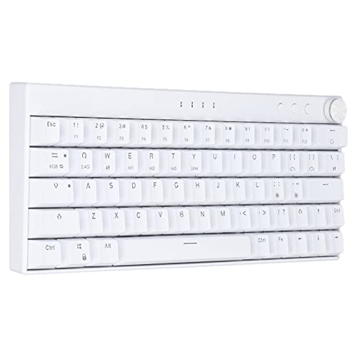 ciciglow Kabellose Mechanische Gaming-Tastatur, Weiß, 64 Tasten Plus Kabellose RGB-Hintergrundbeleuchtung, Mechanische Tastatur, 3 Modi, 2,4 G/BT 3.0, 5.0/Typ C, Kabelgebundene(Blauer Schalter)