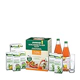 Schoenenberger - Schlankheits-Kur Fruchtig - 1 Set mit Möhre-Apfel-Mango-Mix, plus Artischockensaft, Brennnesselsaft, Kartoffelsaft - gesundes Ernährungskonzept zum Abnehmen - Kur für 10 Tage - bio