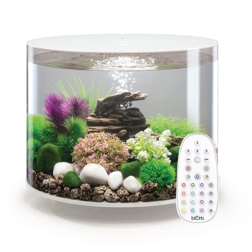 Rundes Aquarium von BiOrb, 35 l mit LED-Beleuchtung