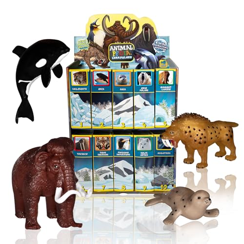 Animalpedia Die Polarzeit – Packung mit 4 Tieren – Sammelspiele für Kinder – Lernspiele – Enzyklopädie der Tiere – Weiche TPR Spielzeug D (Mammut – Orca – Robbe – Smilodon)