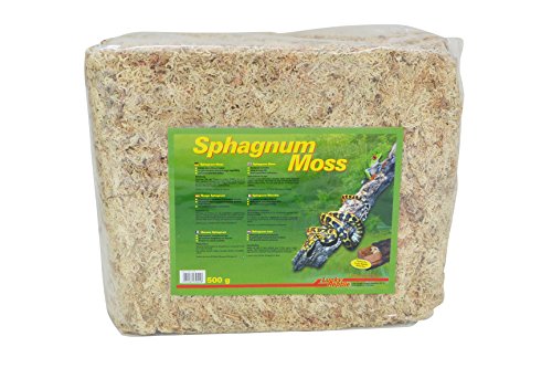 Lucky Reptile Sphagnum Moss - 500 g Terrarienmoos Ziegel für Reptilien - Terrarium Moos zur Erhöhung der Luftfeuchtigkeit - Moos aus kontrolliertem Anbau für Orchideen & Bromelien - Reptilien Zubehör