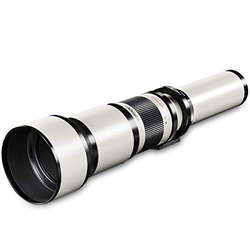 Walimex Pro 650-1300mm 1:8-16 CSC-Teleobjektiv für Micro Four Thirds Objektivbajonett weiß (manueller Fokus, für Vollformat Sensor gerechnet, Filterdurchmesser 95mm, mit ausziehbarer Gegenlichtblende)
