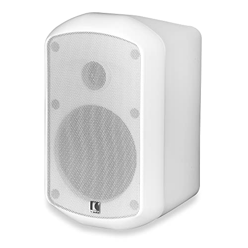 ic audio Lautsprecher MS 15-100 – Kompakter Deckenlautsprecher für Sprache und Musik, einfache Wandmontage, 15 Watt Speaker, ideal für Innenbereich – Weiß