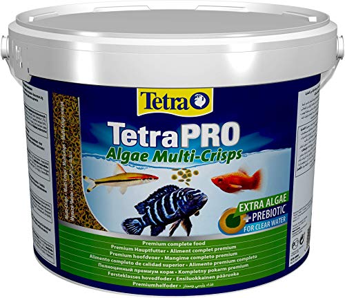 Tetra Pro Algae Premiumfutter (für alle tropischen Zierfische, mit Algenkonzentrat zur Verbesserung der Widerstandskraft, Vitaminstabilität und hoher Nährwert, Spirulina-Alge), 10l