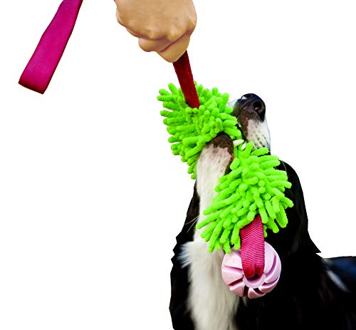 Dingo Mop Bungee Grün mit Vanille Duft Ball Hundespielzeug Agility Apporte 15589