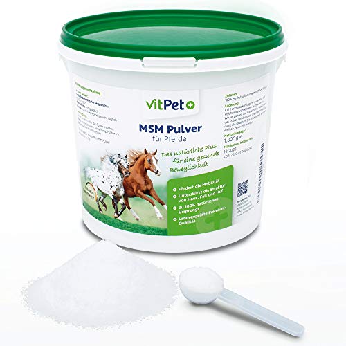 VitPet+ MSM Pferd – Premium MSM Pulver für Pferde im 1,8 kg Eimer inkl. Dosierlöffel (Methylsulfonylmethan- / Schwefel-Pulver für Pferde und Hunde)