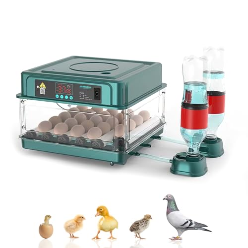 Brutautomat Vollautomatisch Brutmaschine Vollautomatisch Inkubator Hühner für 10-15 Eier, Brutkasten Hühner mit Automatischem Eierdrehen und Automatischer Wasserzugabe für Zucht von Hühnern (24 Eier)