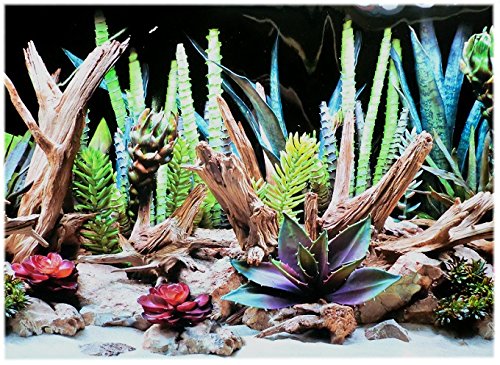 Amtra Croci Rückwandfolie 200 cm x 60 cm Terrarien Aquarien Rückwand Hintergrund Dekoration Poster