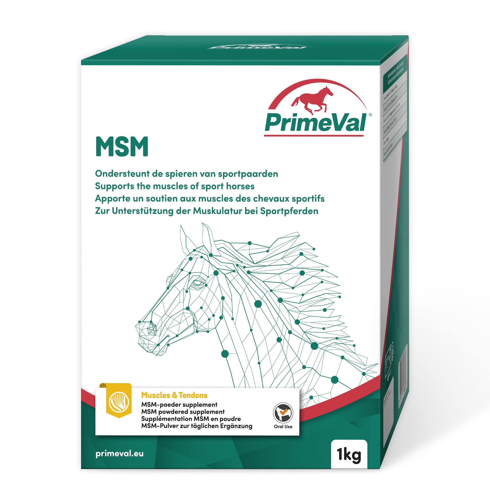 beaphar PrimeVal MSM - 100% Methylsulfonylmethan (MSM) - Organischer Schwefel, schnelle Absorption, Reduzierung von Gelenkschmerzen und Entzündungen, Muskelunterstützung - 1 kg