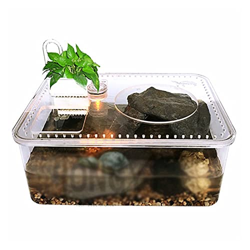 Reptilien-Fütterungs-Terrarium-Box, Schildkröten-Eidechse, 1 Stück, Kunststoff, transparent, für Reptilienzucht, Futterbox, großes Fassungsvermögen, Aquarium, Lebensraum, Wanne, Schildkrötentank-Plattform, Tier-Ha