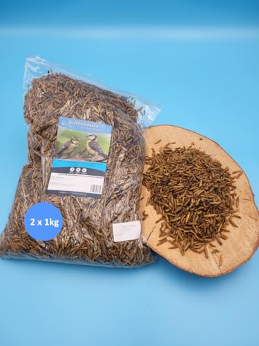 2X 1kg Futterbauer Soldatenfliegenlarven Vogelfutter Nagerfutter wie Mehlwürmer