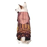 Froon Las Vegas Sunset Pet Apparel – Kapuzen-Sweatshirt für kleine Haustiere, bezaubernde und warme Haustierkleidung, für Ihr Haustier