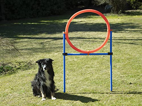 Nativ großer Sprungring für Hunde, Durchmesser 70cm, höhenverstellbar, mit Tragetasche