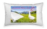 Daunenkissen Daunendecke Gänse Tex Tirol © Alpi Made in Italy