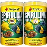 Tropical 2 x 1 Liter Spirulina Forte 36% Doppelpack Sparset Cichlid Malawi Fischfutter