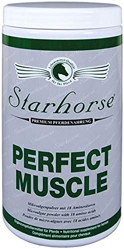 Starhorse Perfect Muscle für Pferde 950g Dose Muskelaufbau