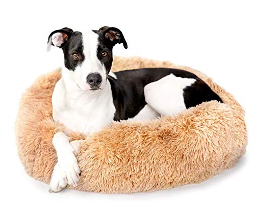 ZINN Großes Hundesofa XXL Hundebett-Donut Rund Hundekissen,Plüsch Hunde Betten Plüsch Haustierbett Warm Schlafen Bett für Mittelgroße und Große Hunde,Rutschfestes Waschbar