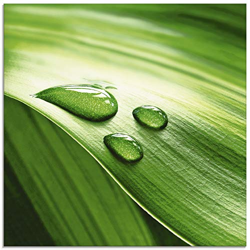 Artland Qualitätsbilder I Glasbilder Deko Glas Bilder 30 x 30 cm Botanik Blätter Foto Grün G2VS Nahaufnahme eines grünen Pflanzenblattes