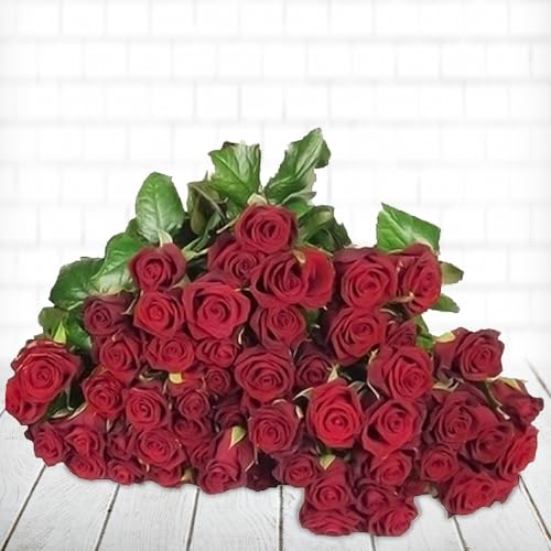 Die Liebeserklärung: 100 rote Rosen - Echte, frische Rosen - 100 Stück ca. 40cm lang - Vasenfertig bearbeitet (entdornt)