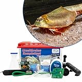 AQ4Aquaristik Premium Triops Starter Set - 6 Liter - mit LED-Beleuchtung, Heizung Filter, Luftpumpe, Kescher, Zubehör, Futter und Anleitung, Triops longicaudatus