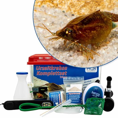 AQ4Aquaristik Premium Triops Komplett-Set mit Urzeitkrebs Eiern, 6 l Becken, LED-Beleuchtung, Zuchtansatz, Heizung, Filter, Luftpumpe, Kescher, Futter, Zubehör, Anleitung, Triops cancriformis