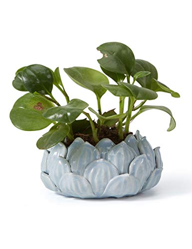 SEINHIJO Keramik Blumentopf Pflanzkübel für Zimmerpflanzen Blumenkübel Sukkulenten, 15cm Durchmesser, Blauer Lotus-Stil