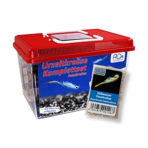 AQ4Aquaristik Feenkrebse Starter Set - Urzeitkrebse - 6 Liter - mit Filter, Luftpumpe, Kescher, Zubehör, Futter und Anleitung, Branchinella thailandensis