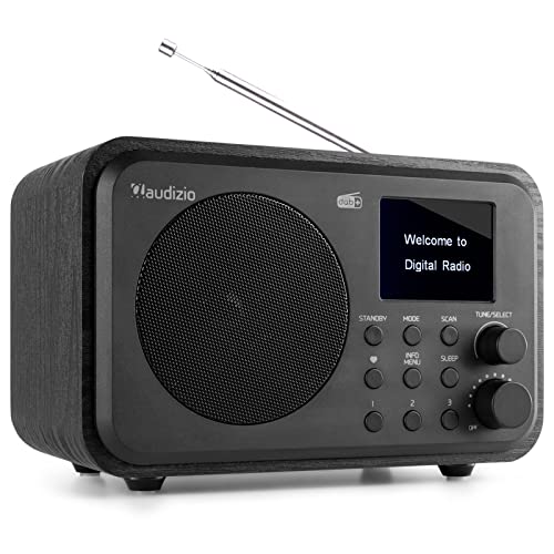 Audizio Milan - Tragbares DAB+ Radio mit Bluetooth und Sleeptimer - FM - UKW - DAB und DAB-PLUS - Autoscan - Line Out - Kompakt Radio mit eingebautem Akku - schwarz