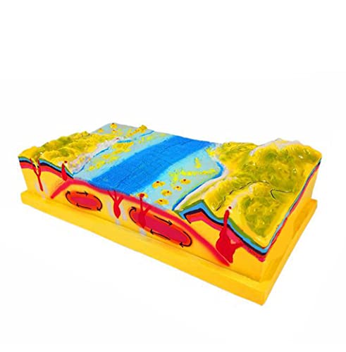 UIGJIOG Platten-Tektonik- Und Oberflächenmorphologie-Modelle 3D-Geografische Platten-Tektonik-Modell-Kit Umfassen Den Meeresboden, Berg, Erdekruste Wissenschaftliche Geologie-Lehrmittel