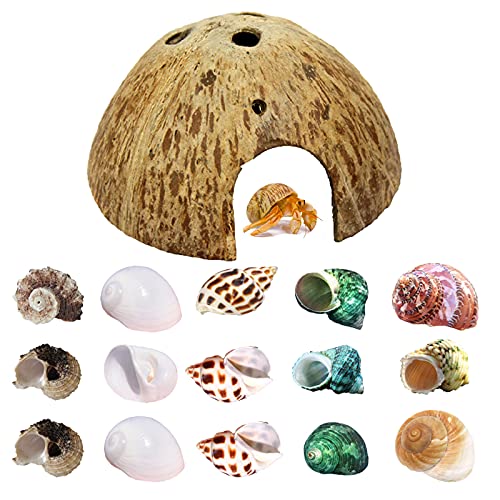 Einsiedlerkrebs-Schalen-Wachstums-Muscheln, 15 Stück (7 Arten), natürliche Kokosnussschalen, Hütte für Aquarien, Dekoration, Versteck für Reptilien