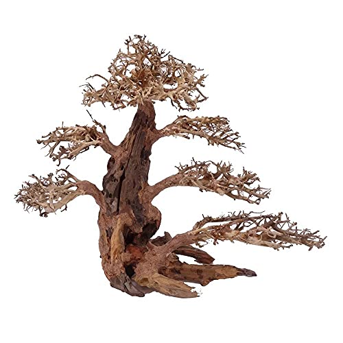 XXL Bonsai Baum Nr.13033 Wurzel Holz Aquarium Deko Aquascaping Bonsaibaum Dekoration Landschaft Moos Natur