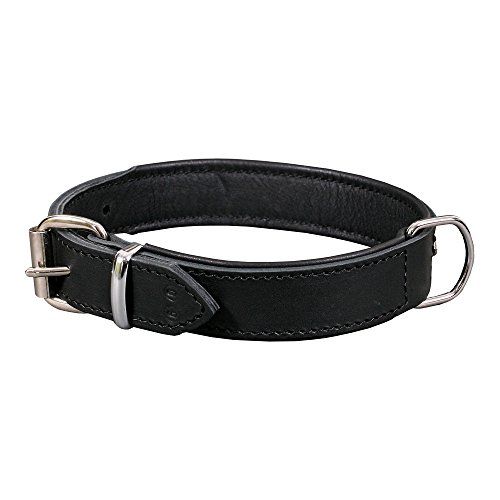 Dingo 11402 Hundehalsband aus exklusivem weichem Leder, luxuriös und strapazierfähig, schwarz
