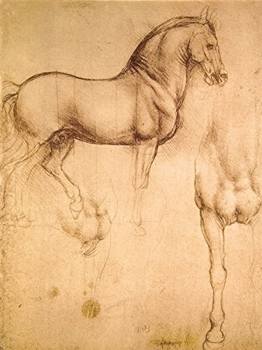 1art1 Leonardo Da Vinci - Pferdestudie, 1493-1494 Poster Leinwandbild Auf Keilrahmen 80 x 60 cm
