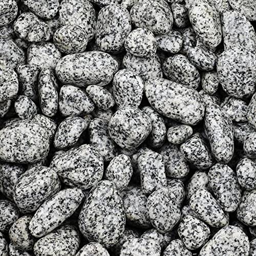 Zierkies Gletscherkies Granit Grau Aquarium Garten Kies Kieselstein Deko 25 Kg 25-40 mm