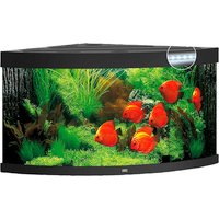 Juwel Aquarium 15850 Trigon 350 LED, helles holz
