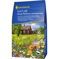 Kiepenkerl 663800 Niedrige Wildblumen- und Kräuterwiese 250 g (Nützlingswiesen)