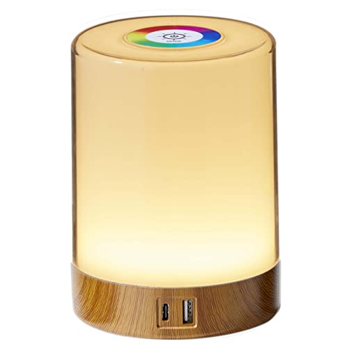 Northpoint LED Tischleuchte Tischlampe mit Touch-Taste Dimmfunktion Farbwechsel Ladeports Memoryfunktion Abschaltautomatikfinktion (Holz)