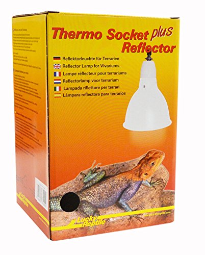 Lucky Reptile HTR-1W Thermo Socket + Reflector klein, weiß