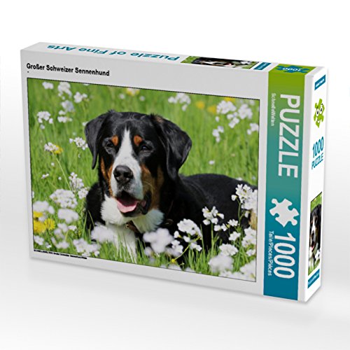 CALVENDO Puzzle Großer Schweizer Sennenhund 1000 Teile Lege-Größe 64 x 48 cm Foto-Puzzle Bild von SchnelleWelten