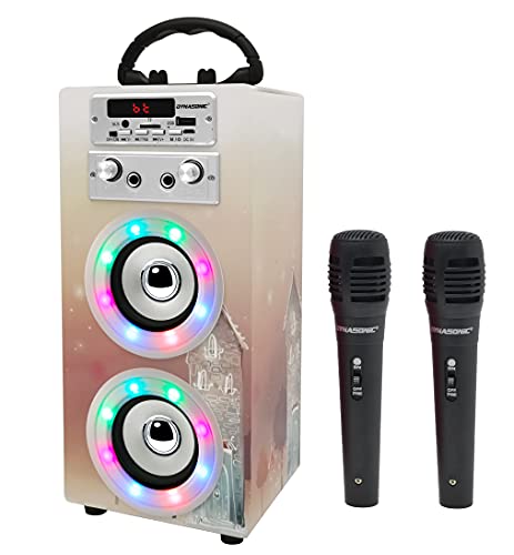 DYNASONIC (3º Generation) Karaoke mit Mikrofon, Karaoke anlage mit Mikrofon enthalten singen (Zwei), Bluetooth Lautsprecher Mehrfarbiges LED-Modell