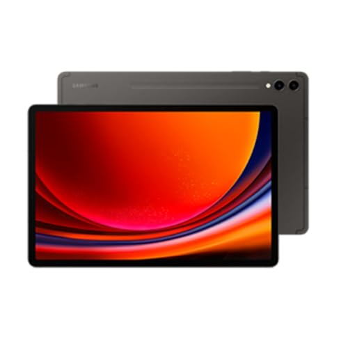 Galaxy Tab S9+ (256GB) WiFi Tablet graphit