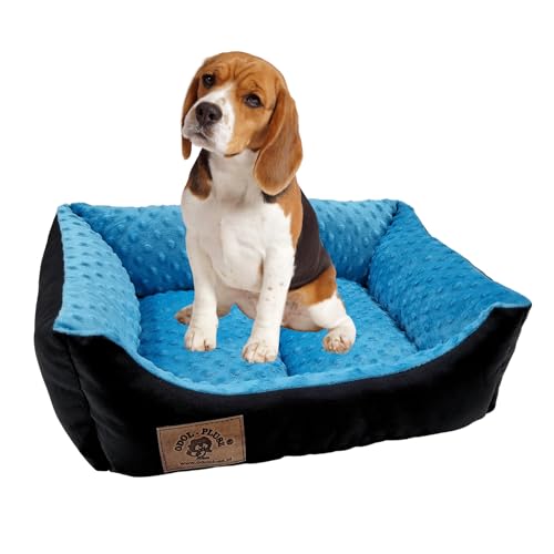 Odolplusz Hundebett Hundekorb Hundesofa | Antibakteriell & Geruchsneutral | Tierbett kleine Hunde | mit Silikonkugelnfüllung | Allergenfrei | 50x40 cm (schwarz + Minky blau)