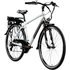 ZÜNDAPP E-Bike 28 Zoll, RH: 48 cm, 21-Gang - bunt