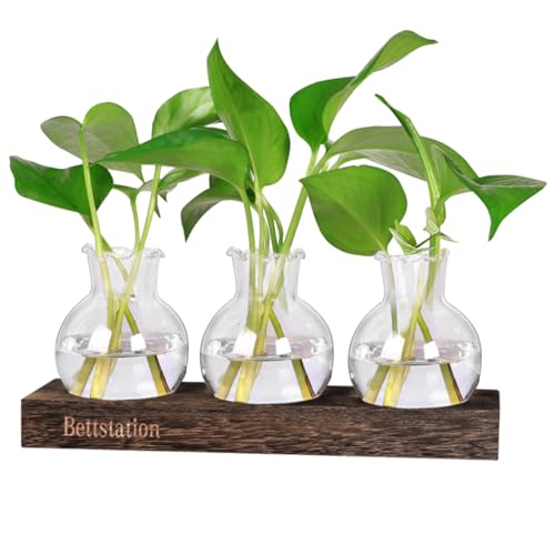 Bettstation Desktop Plant Propagation Station Retro Plant Terrarium with Wooden Stand 3 Bulb Container Perfect for Propagating Hydroponic Plants Home Office Decor