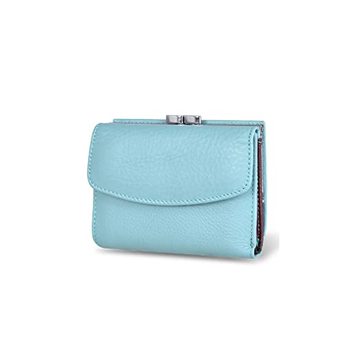 niei Geldbörsen für Damen Frauen Geldbörsen Kleine Mode Leder Geldbörse Frauen Damen Karton Tasche Handgriff Clutch Weibliche Geldbörse Geld Clip Brieftasche (Color : Blue)