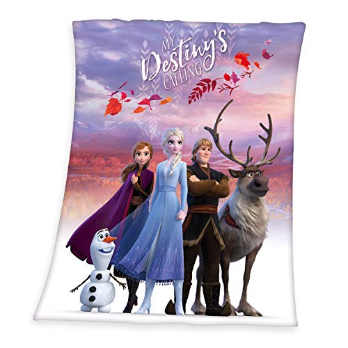 Herding Disney's Die Eiskönigin 2 Soft-Peachdecke, Polyester, violett, 130x160cm